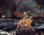 温斯洛 荷默 : A Good Shot, Adirondacks